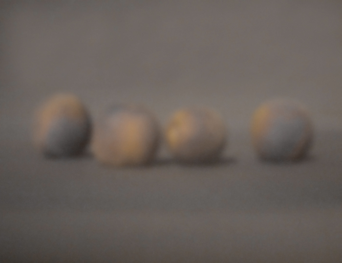Vier Pfirsiche | 2012 | Camera Obscura | Pigmentdruck auf Alu-Dibond | 40 x 30 cm